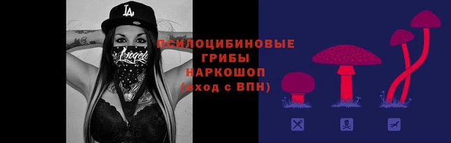 гидропоника Чекалин