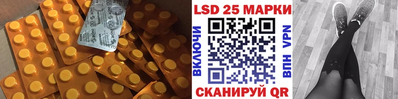 МЕГА tor  сколько стоит  Новый Уренгой  LSD-25 экстази кислота 